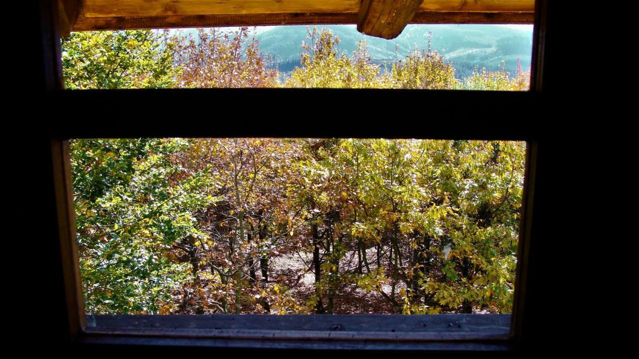 Arantzazu Albergue Mandoia Aterpetxea מראה חיצוני תמונה