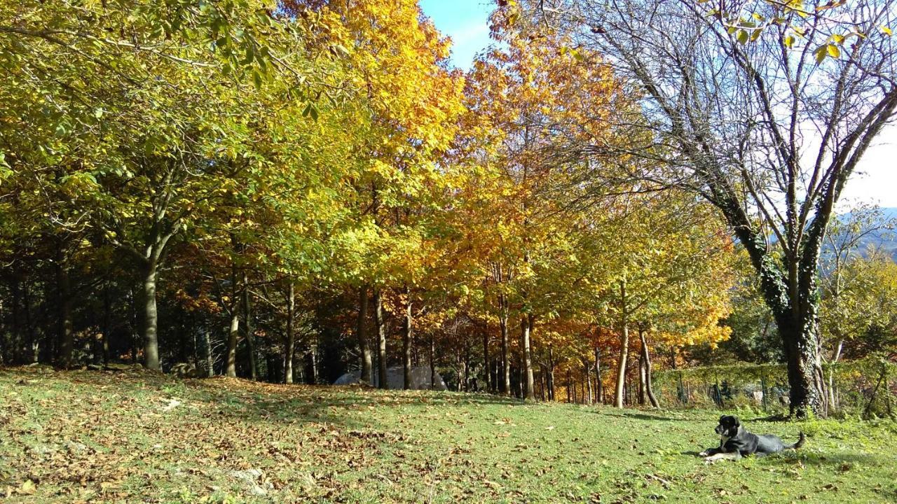 Arantzazu Albergue Mandoia Aterpetxea מראה חיצוני תמונה